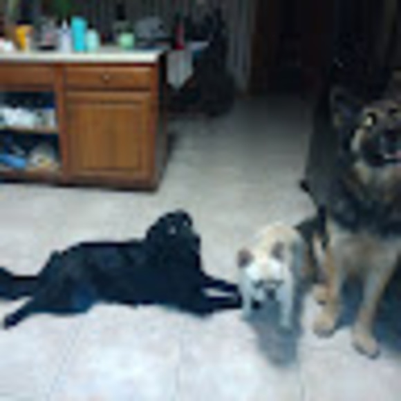 Meet your Posher, Janean - Picture 1 of 1